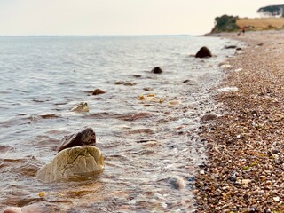 rocks on the beach