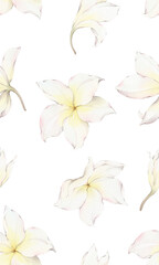 Fototapeta na wymiar seamless pattern with plumeria flowers