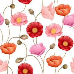 seamless pattern of poppy flower 
