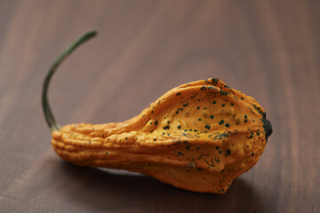 Decorative pear pumpkin on wood table