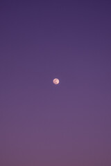 Fool moon at night, purple sky