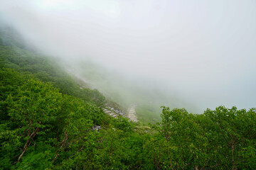 Senjoziki  Curl Mountain Komagane Nagano Japan Central Alps trekking  hiking Summer fog