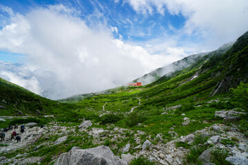 Senjoziki  Curl Mountain Komagane Nagano Japan Central Alps trekking  hiking Summer