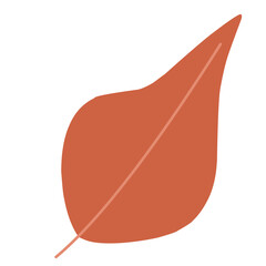 Hand drawn autumn leaf