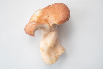 Ugly form mushroom on white table