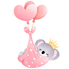 baby girl koala