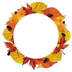 Round frame from autumn leaves on a white background. - 524644275