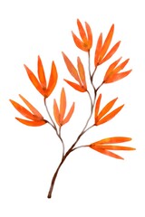 Autumn tree on white background illustration.