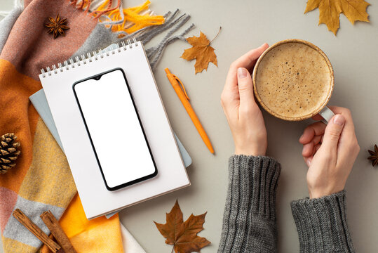 First person top view photo of girl's hands in sweater holding cup of coffee smartphone diary pen scarf yellow maple leaves anise pine cone cinnamon sticks on isolated grey background with empty space