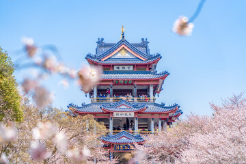 Aerial photography of Meihua Mountain in the Ming Xiaoling Mausoleum Scenic Spot in Nanjing, Jiangsu Province, China in spring