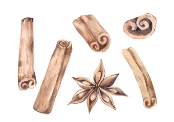 cinnamon, watercolor illustration hand-drawn. Spices set of elements on a white background.