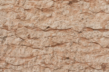 Cracked coral stone rock texture. Abstract background pattern
