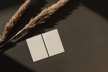 Blank paper sheet cards with mockup copy space, dry pampas grass stems and sunlight shadows on dark...