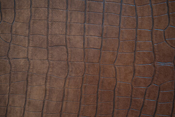 Crocodile bone skin texture background. Green Leather background and texture.