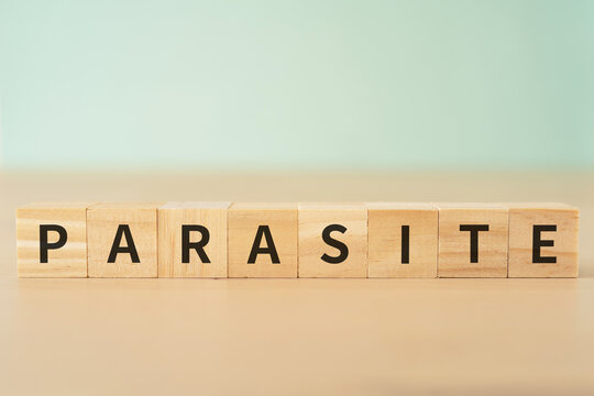 寄生・寄生虫・居候のイメージ｜「PARASITE」と書かれたブロック
