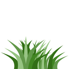 Plants Reed Shrubs Bush Trees Green Forest Realistic Nature