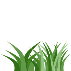 Plants Reed Shrubs Bush Trees Green Forest Realistic Nature