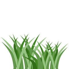 Plants Reed Shrubs Bush Trees Green Forest Realistic Nature