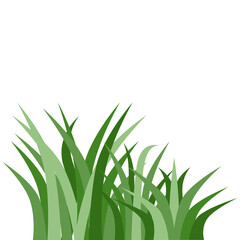 Plants Reed Shrubs Bush Trees Green Forest Realistic Nature