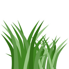 Plants Reed Shrubs Bush Trees Green Forest Realistic Nature