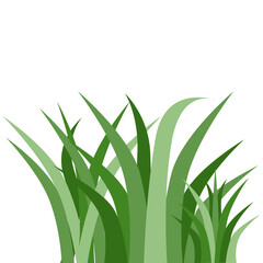 Plants Reed Shrubs Bush Trees Green Forest Realistic Nature