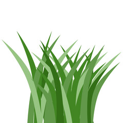 Plants Reed Shrubs Bush Trees Green Forest Realistic Nature