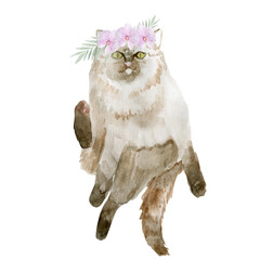 Cut fluffy cats. Watercolor illustration.