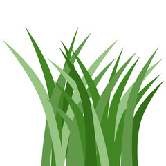 Plants Reed Shrubs Bush Trees Green Forest Realistic Nature