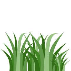 Plants Reed Shrubs Bush Trees Green Forest Realistic Nature