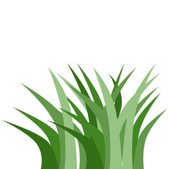 Plants Reed Shrubs Bush Trees Green Forest Realistic Nature