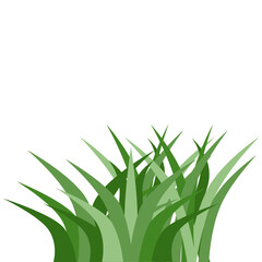 Plants Reed Shrubs Bush Trees Green Forest Realistic Nature