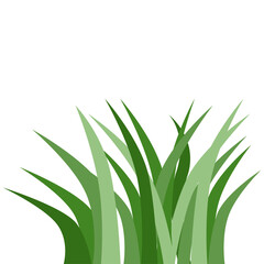 Plants Reed Shrubs Bush Trees Green Forest Realistic Nature