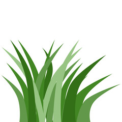 Plants Reed Shrubs Bush Trees Green Forest Realistic Nature