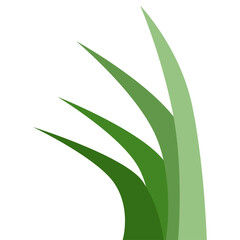 Plants Reed Shrubs Bush Trees Green Forest Realistic Nature