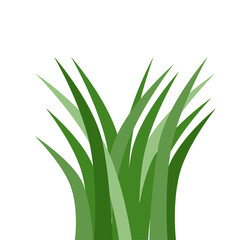 Plants Reed Shrubs Bush Trees Green Forest Realistic Nature