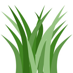 Plants Reed Shrubs Bush Trees Green Forest Realistic Nature