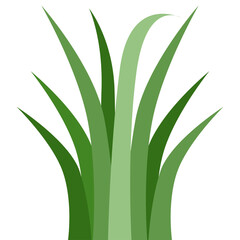 Plants Reed Shrubs Bush Trees Green Forest Realistic Nature