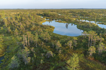 Swamp in Kemeri National Park in Jurmala.