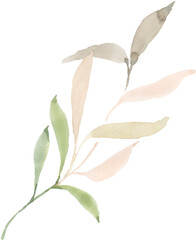 Leaves Branches Watercolor
