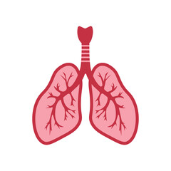 The lungs and thyroid gland in the section are red.