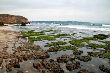 Playa en la Marea Baja 