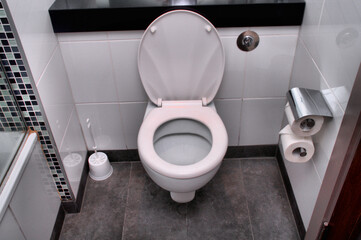 toilet