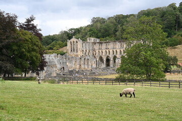 Rievaulx Abbey ree-VOH was a Cistercian abbey in Rievaulx, situated near Helmsley in the North York Moors National Park, North Yorkshire, England
