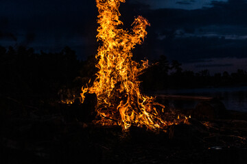 fire in the woods