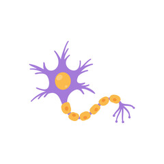 human sensory neuron model for biology studies