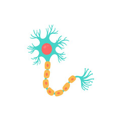 human sensory neuron model for biology studies