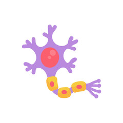 human sensory neuron model for biology studies