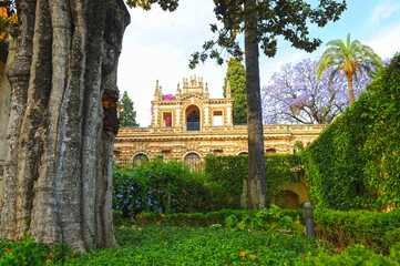 Naklejka premium Jardín de la Danza y Galería de Grutescos en los Jardines del Alcázar de Sevilla, España