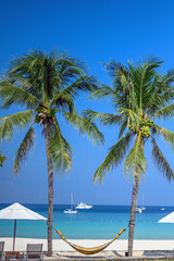 Fototapeta na wymiar hammock relaxing under coconut tree on summer beach with blue sky, vacation season 