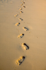 Fototapeta na wymiar Footprints in the sand beach at sunset